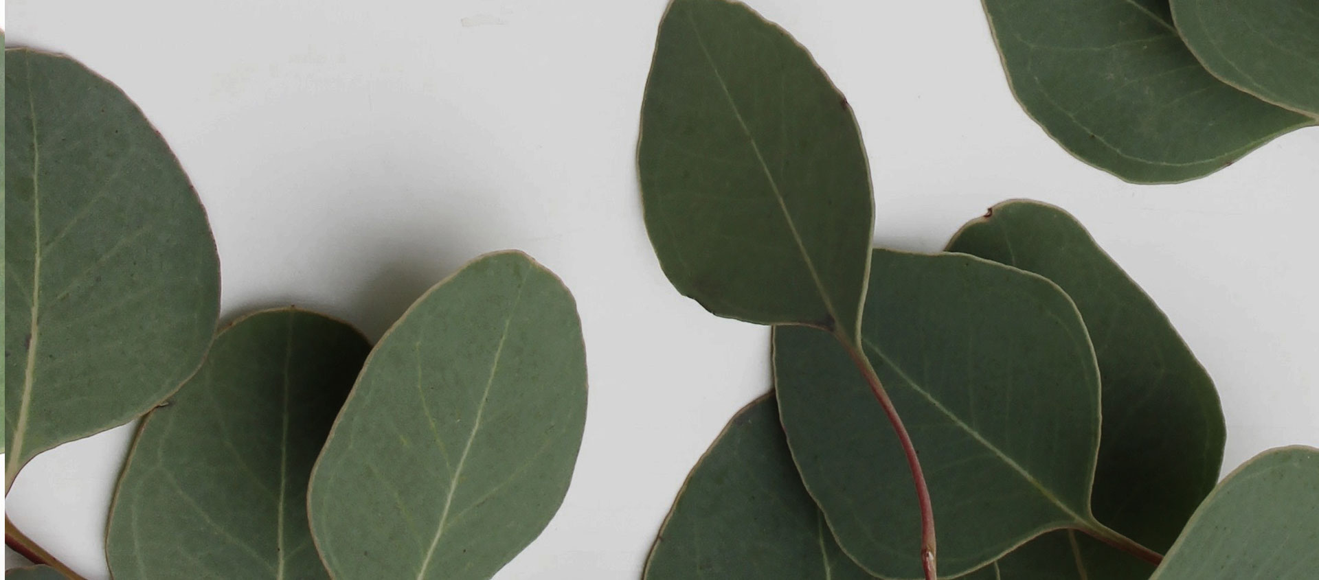 Взыскание ущерба от экологических правонарушений в Калуге